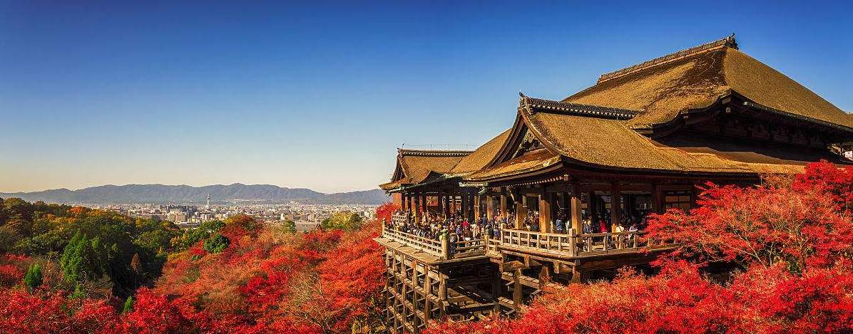 京都旅遊攻略|體驗|景點|交通